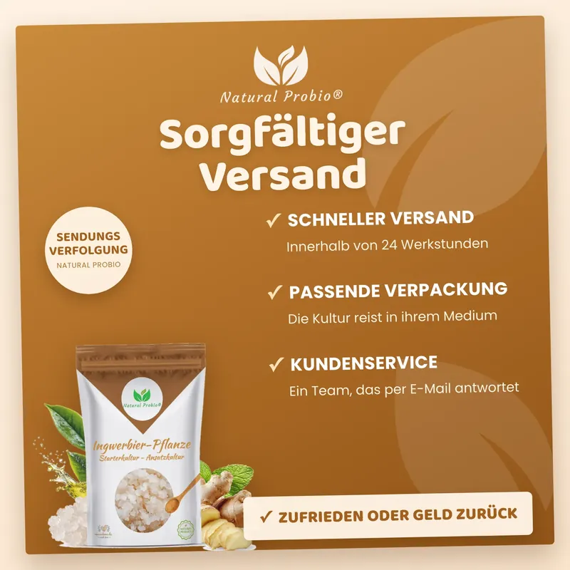 Sorgfältiger Versand mit Sendungsverfolgung