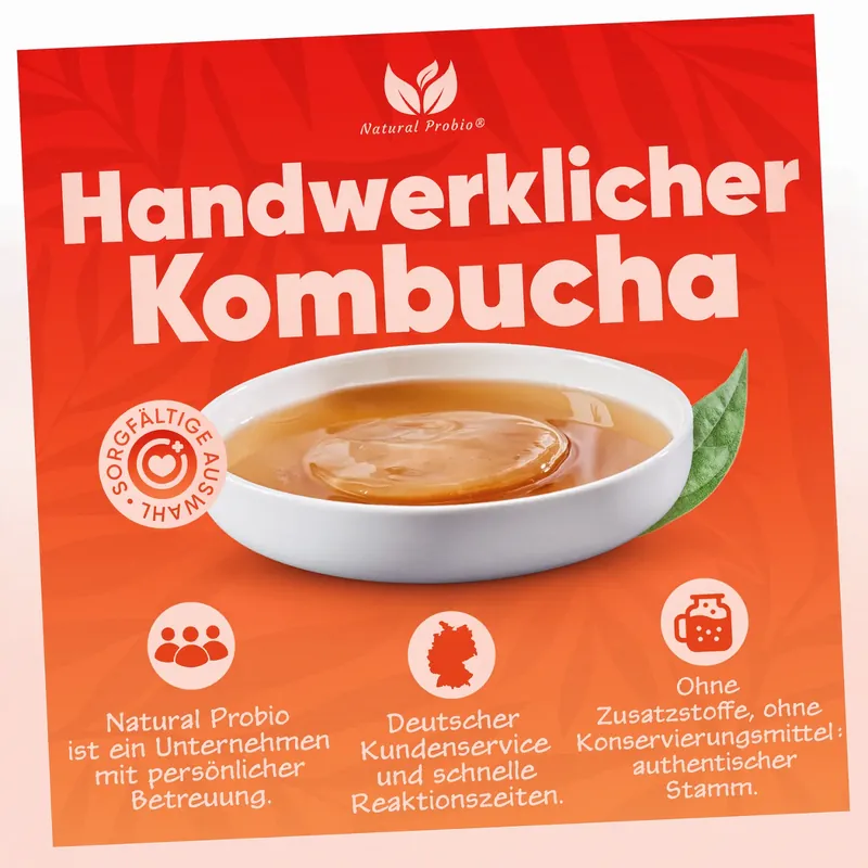 Handwerklicher Kombucha, ohne Zusatzstoffe und Konservierungsmittel