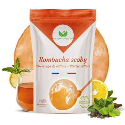 Sachet avec un SCOBY de kombucha vivant Natural Probio