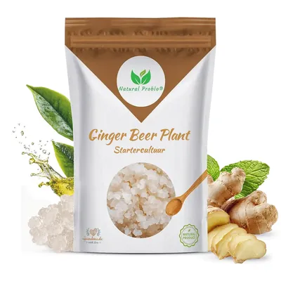 Bustina di ginger beer plant Natural Probio