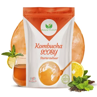 Bustina con uno SCOBY di kombucha vivo Natural Probio